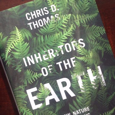 Chris Thomas