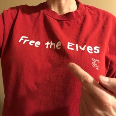 Joanne Elves