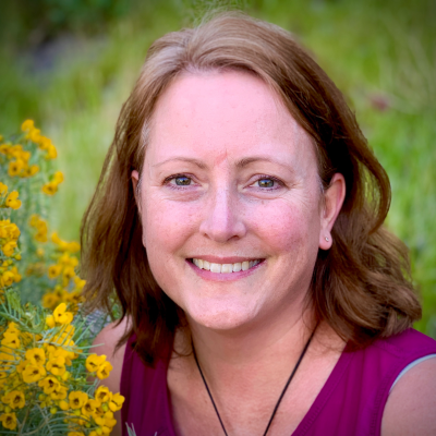 Lisa Meyers McClintick