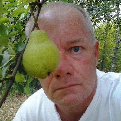 Peter Phelan