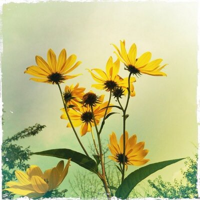 Phil Marty