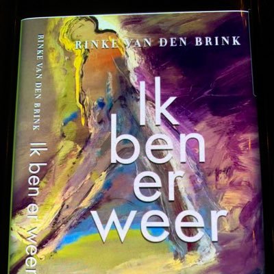 Rinke van den Brink