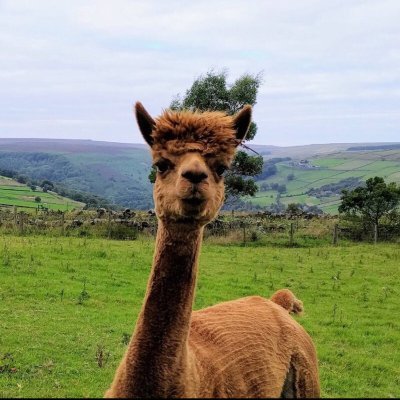 Sam Nussey