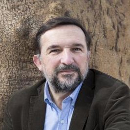 Sergio Vila-Sanjuán