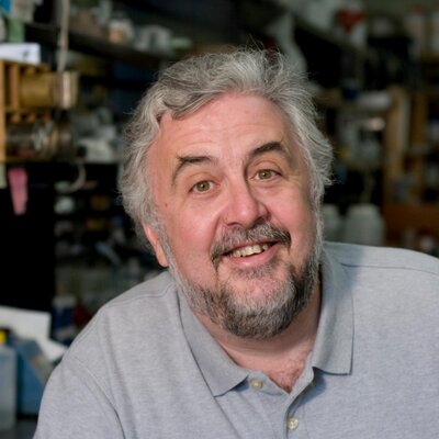 Timothy Donohue