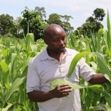 Vitalis Kimutai